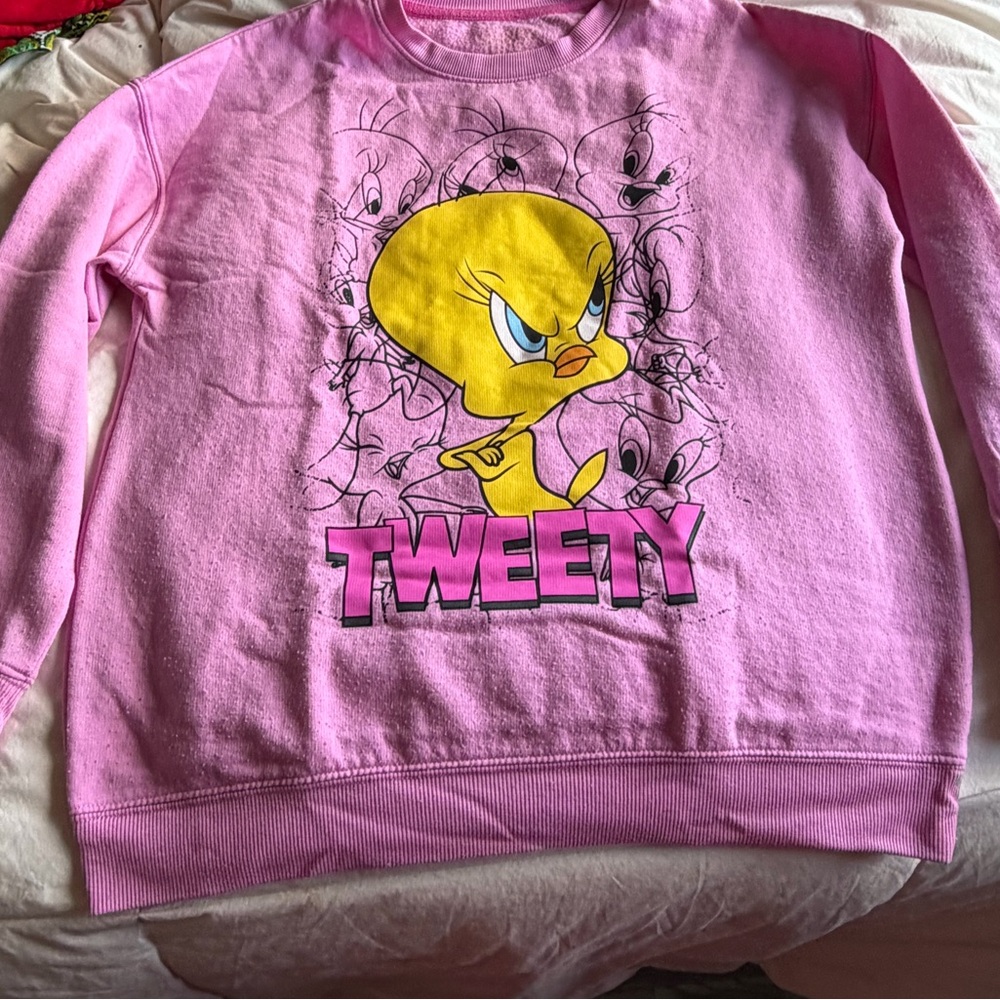 Looney Tunes Pink Graphic Sweatshirt
